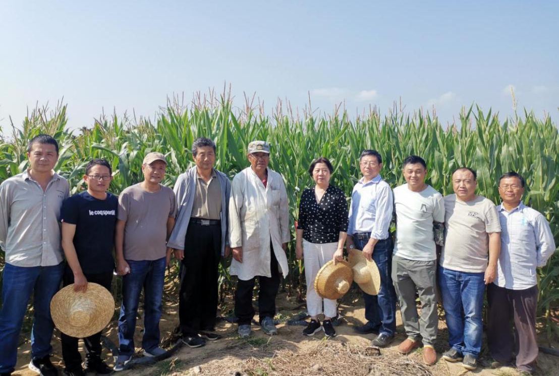 圖片4.jpg 圖片4.jpg