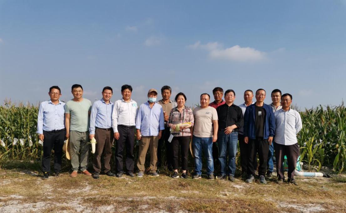 圖片5.jpg 圖片5.jpg