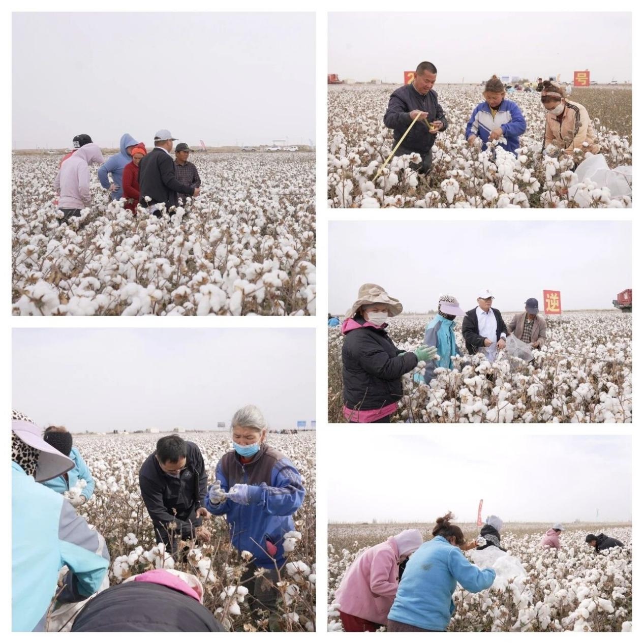 圖片9.jpg 圖片9.jpg